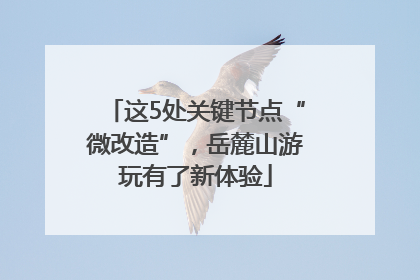 这5处关键节点“微改造”，岳麓山游玩有了新体验