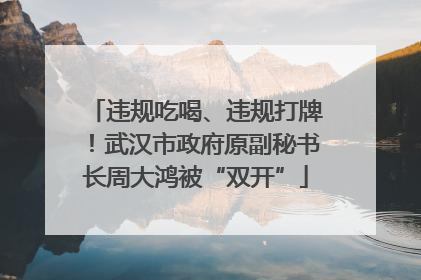 违规吃喝、违规打牌！武汉市政府原副秘书长周大鸿被“双开”