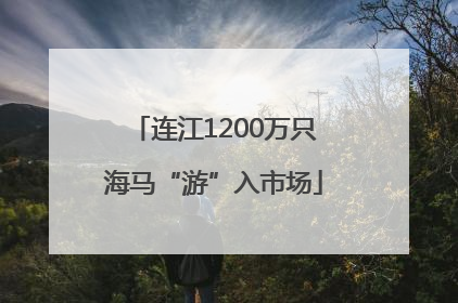 连江1200万只海马“游”入市场