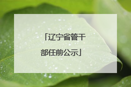 辽宁省管干部任前公示