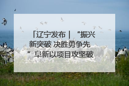 辽宁发布｜“振兴新突破 决胜勇争先”阜新以项目攻坚破解发展瓶颈 经济发展实现良好开局