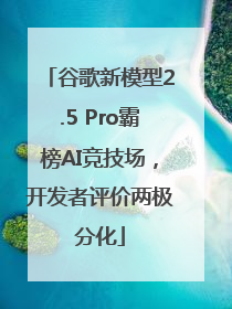 谷歌新模型2.5 Pro霸榜AI竞技场，开发者评价两极分化