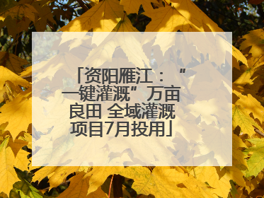 资阳雁江：“一键灌溉”万亩良田 全域灌溉项目7月投用