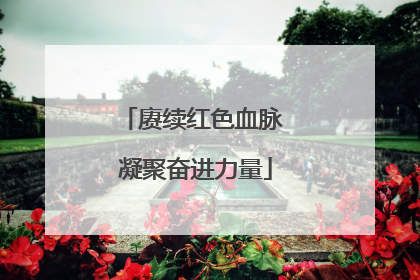 赓续红色血脉 凝聚奋进力量