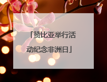 赞比亚举行活动纪念非洲日