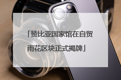 赞比亚国家馆在自贸雨花区块正式揭牌