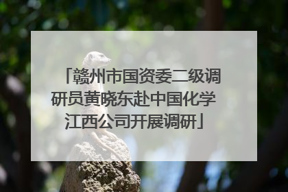 赣州市国资委二级调研员黄晓东赴中国化学江西公司开展调研