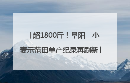 超1800斤！阜阳一小麦示范田单产纪录再刷新