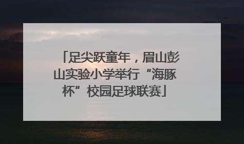 足尖跃童年，眉山彭山实验小学举行“海豚杯”校园足球联赛