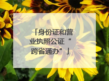 身份证和营业执照公证“跨省通办”
