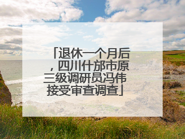 退休一个月后，四川什邡市原三级调研员冯伟接受审查调查