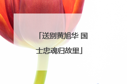 送别黄旭华 国士忠魂归故里