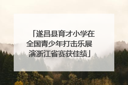 遂昌县育才小学在全国青少年打击乐展演浙江省赛获佳绩