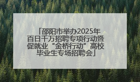 邵阳市举办2025年百日千万招聘专项行动暨促就业“金桥行动”高校毕业生专场招聘会