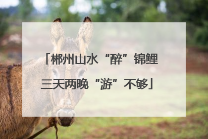 郴州山水“醉”锦鲤 三天两晚“游”不够