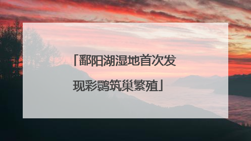 鄱阳湖湿地首次发现彩鹮筑巢繁殖