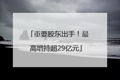 重要股东出手！最高增持超29亿元
