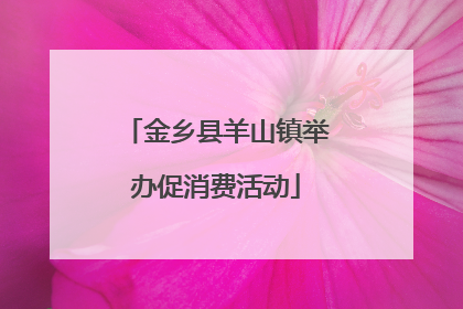 金乡县羊山镇举办促消费活动