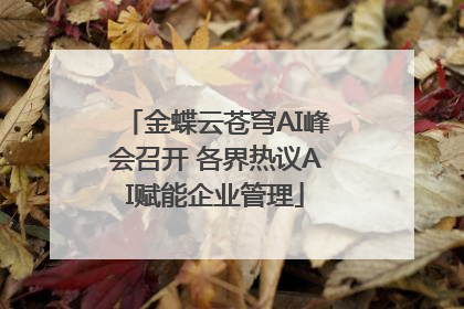 金蝶云苍穹AI峰会召开 各界热议AI赋能企业管理