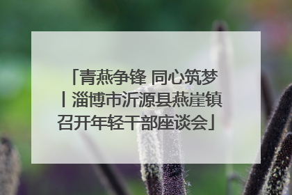 青燕争锋 同心筑梦丨淄博市沂源县燕崖镇召开年轻干部座谈会