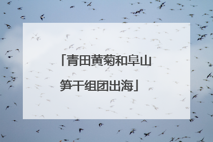 青田黄菊和阜山笋干组团出海