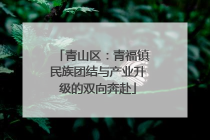 青山区：青福镇民族团结与产业升级的双向奔赴