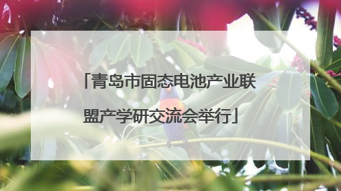 青岛市固态电池产业联盟产学研交流会举行