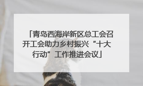 青岛西海岸新区总工会召开工会助力乡村振兴“十大行动”工作推进会议