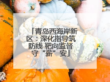 青岛西海岸新区：深化指导筑防线 靶向监督守“薪”安