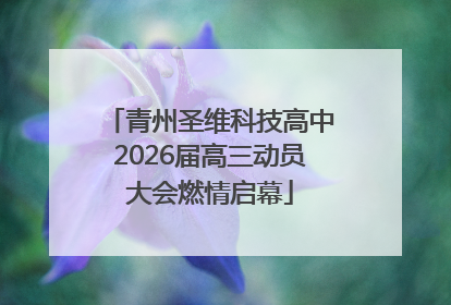 青州圣维科技高中2026届高三动员大会燃情启幕