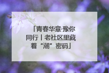 青春华章·豫你同行丨老社区里藏着“潮”密码