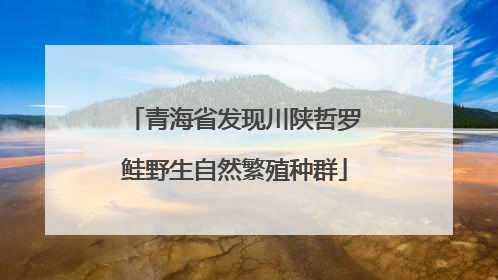 青海省发现川陕哲罗鲑野生自然繁殖种群