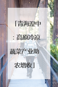 青海湟中：高原冷凉蔬菜产业助农增收