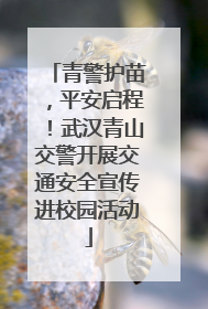 青警护苗，平安启程！武汉青山交警开展交通安全宣传进校园活动
