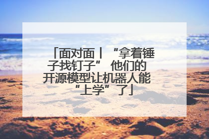面对面丨“拿着锤子找钉子” 他们的开源模型让机器人能“上学”了