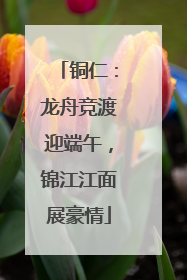 铜仁：龙舟竞渡迎端午，锦江江面展豪情