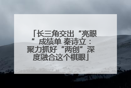 长三角交出“亮眼”成绩单 秦诗立：聚力抓好“两创”深度融合这个棋眼