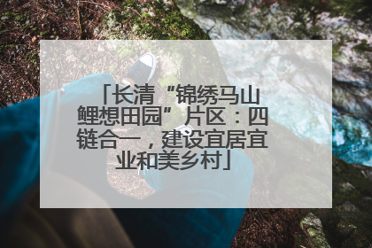 长清“锦绣马山 鲤想田园”片区：四链合一，建设宜居宜业和美乡村