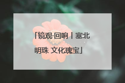 镜观·回响丨塞北明珠 文化瑰宝