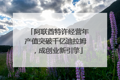 阿联酋特许经营年产值突破千亿迪拉姆，成创业新引擎