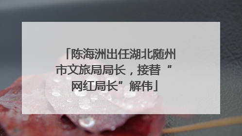 陈海洲出任湖北随州市文旅局局长，接替“网红局长”解伟