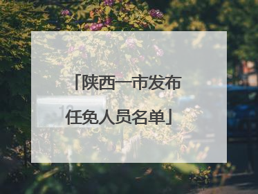 陕西一市发布任免人员名单