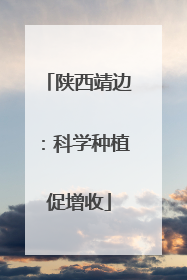 陕西靖边：科学种植促增收