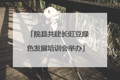 院县共建长豇豆绿色发展培训会举办