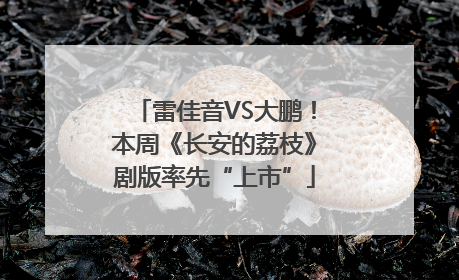 雷佳音VS大鹏！本周《长安的荔枝》剧版率先“上市”