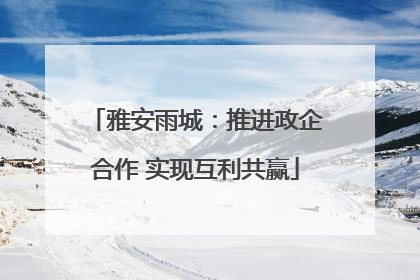 雅安雨城：推进政企合作 实现互利共赢