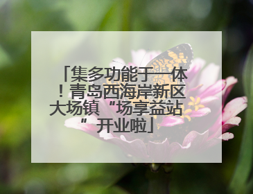 集多功能于一体！青岛西海岸新区大场镇“场享益站”开业啦