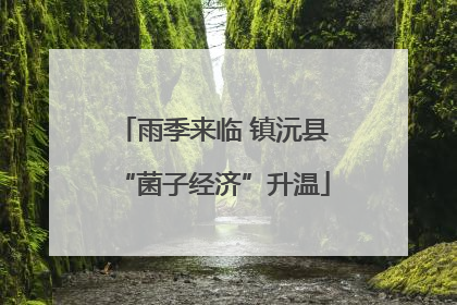 雨季来临 镇沅县“菌子经济”升温