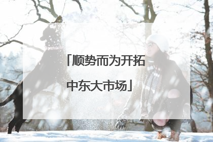顺势而为开拓中东大市场