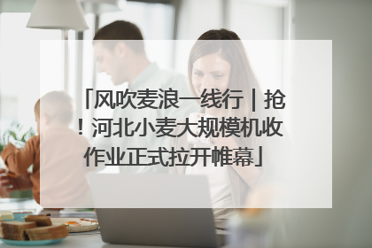 风吹麦浪一线行｜抢！河北小麦大规模机收作业正式拉开帷幕